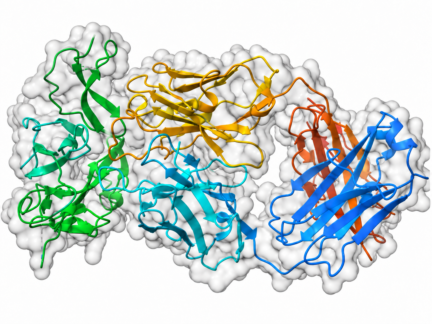 Antibody-antigen